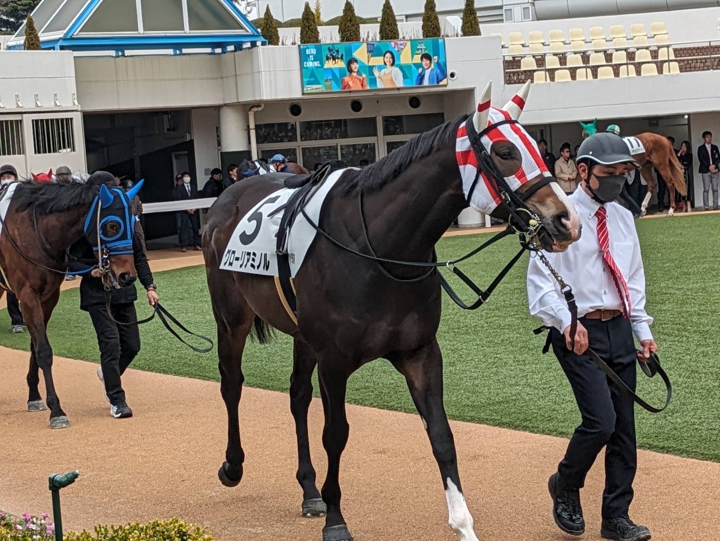 現地購入的中単勝馬券【新馬戦（デビュー戦/初勝利）】ダイワ