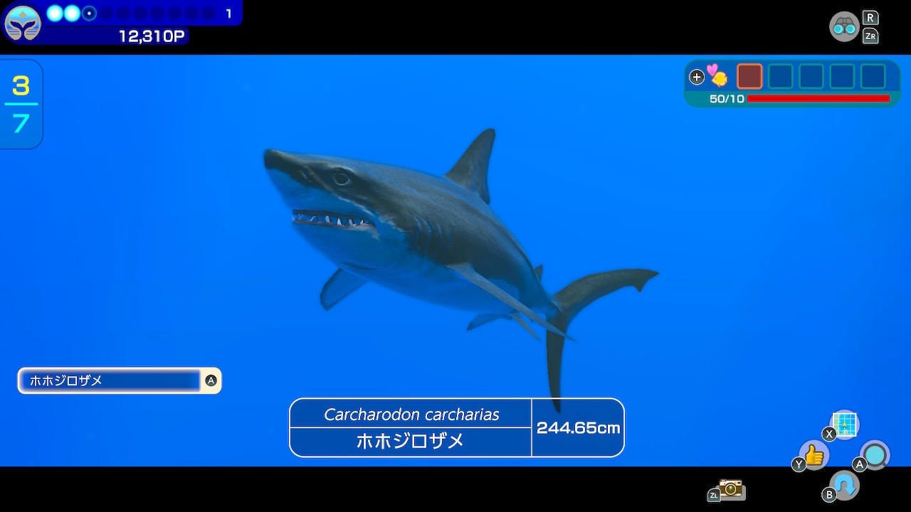 S__69500934.jpg?w=640