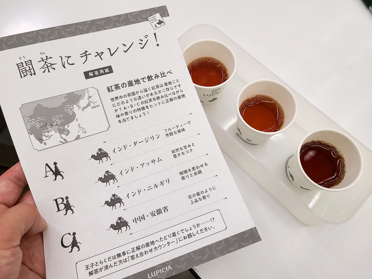 神イベント】お茶好きが集う祭典「ルピシア グラン・マルシェ」に初潜入！ 豊富な無料試飲にお買い得市場など誰が行っても楽しめる！ | ロケットニュース24