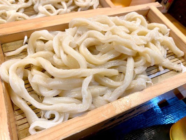 【戦いか】埼玉県民がゴリ押す「武蔵野うどん」を初めて食べたらアゴがぶっ壊れそうになった → なのに今すぐ食べに行きたい！