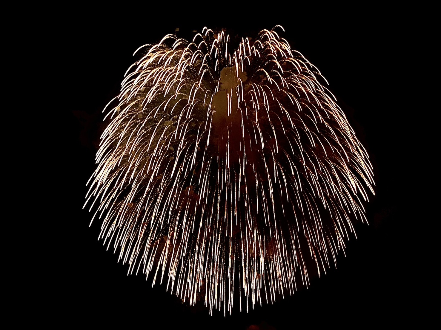 【はなさん専用】長岡大花火(25年玉皮) はなさん専用】長岡大花火(25年玉皮) 🎇長岡まつり大花火