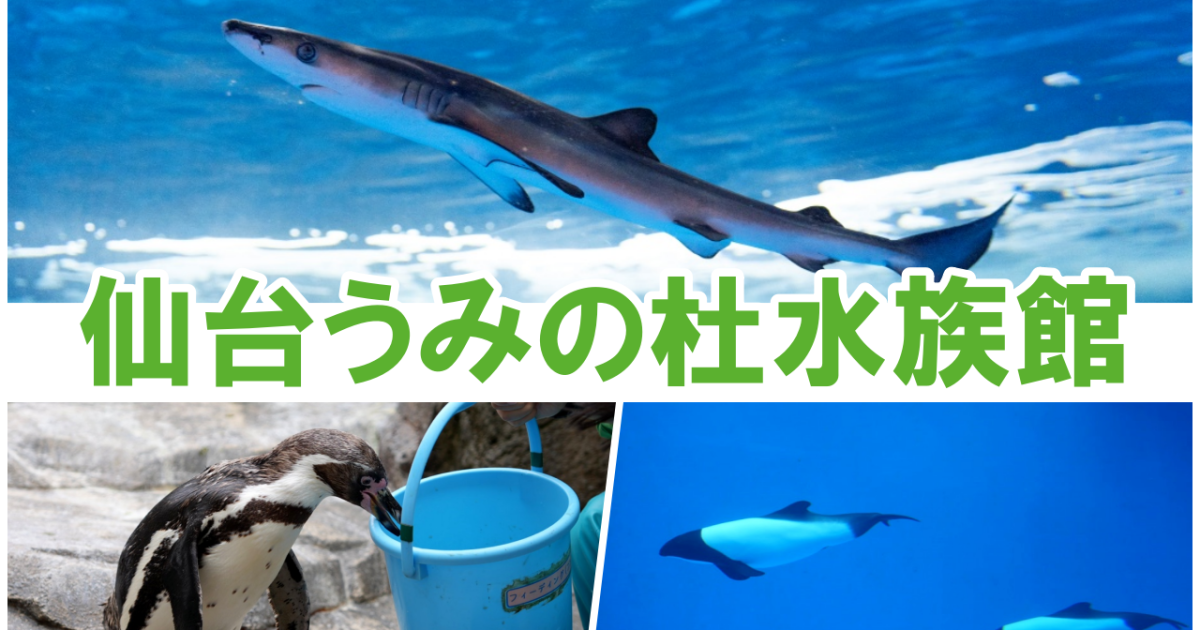 水族館ゆる探訪 第1回】フカヒレは「世界一美しいサメ」から獲れる!? 「仙台うみの杜水族館」で東北の海がまるわかり！ そしてなぜか頭上を走るリス |  ロケットニュース24