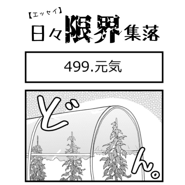 【エッセイ漫画】日々限界集落 499話目「元気」