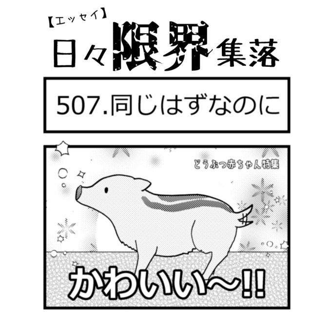 【エッセイ漫画】日々限界集落 507話目「同じはずなのに」