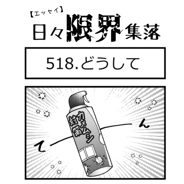 【エッセイ漫画】日々限界集落 518話目「どうして」