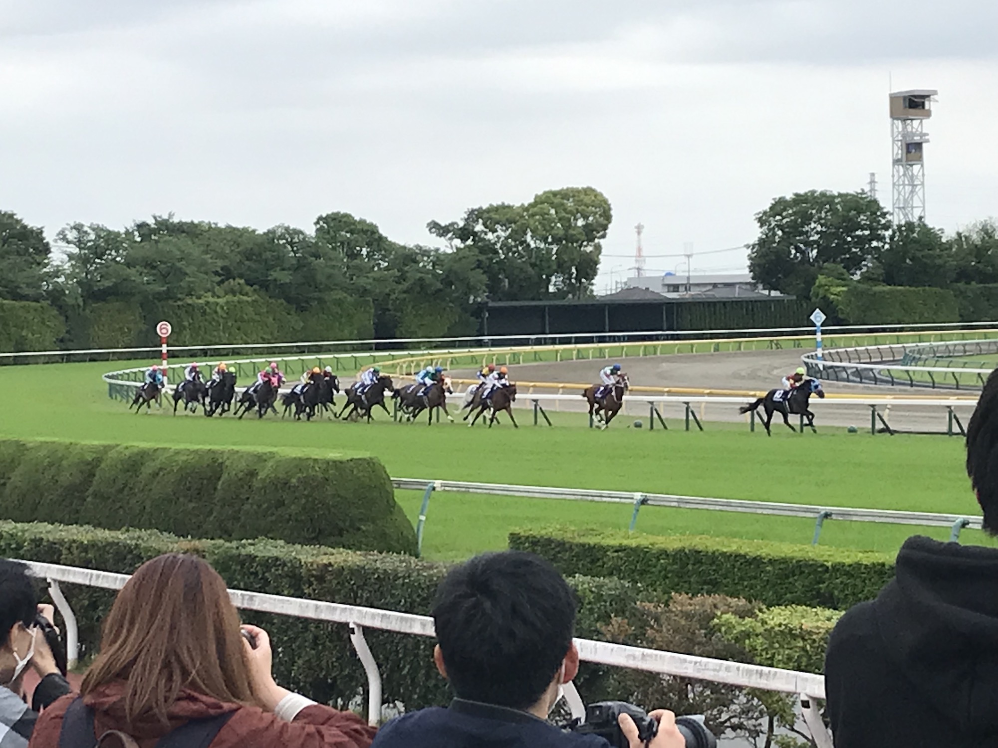 コラム】「高額馬券を買ってこそ競馬ガチ勢」って思い始めたら人生が破滅する | ロケットニュース24