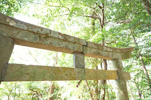 400年立ち入り禁止だった久能山の禁足地に入れるぞ！ 山頂にある伝説の愛宕神社と、久能城時代の手付かずの遺跡