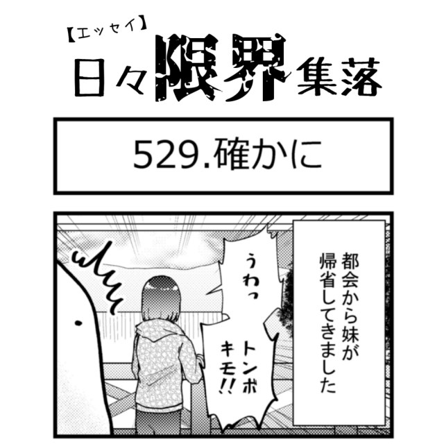 【エッセイ漫画】日々限界集落 529話目「確かに」