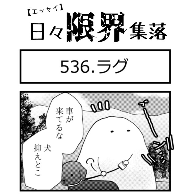 【エッセイ漫画】日々限界集落 536話目「ラグ」