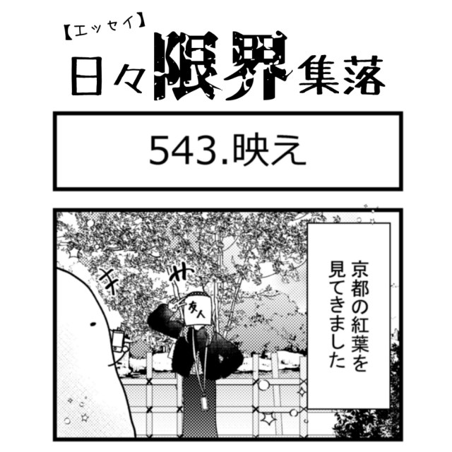 【エッセイ漫画】日々限界集落 543話目「映え」