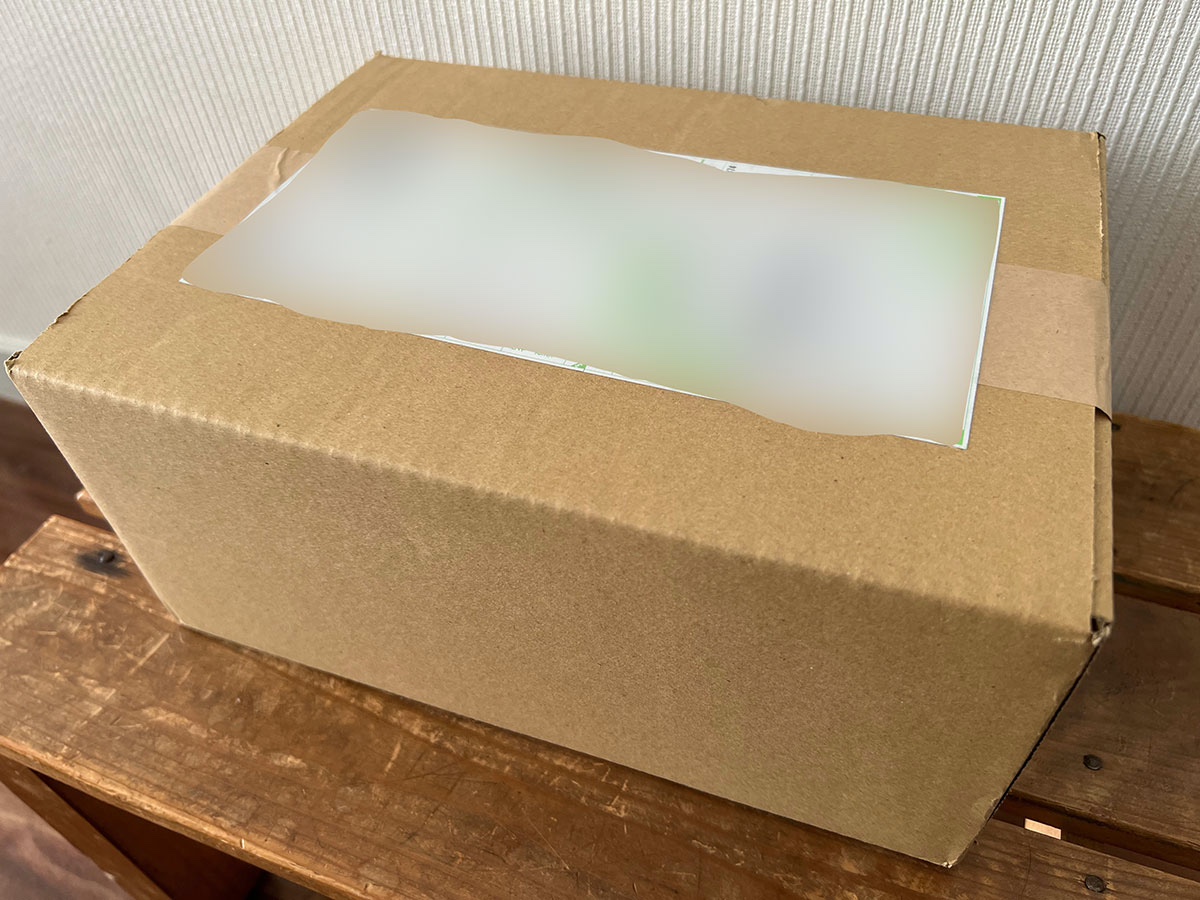 正直すぎ】楽天市場で見つけた『てきとー福袋』の説明に「え？」となっ