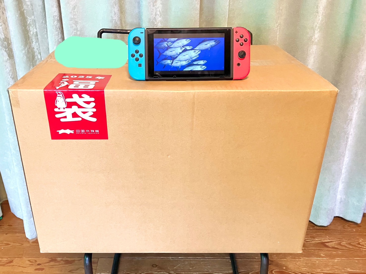 福袋2025】3年連続で巨大ぬいぐるみが届いた「四国水族館」の福袋