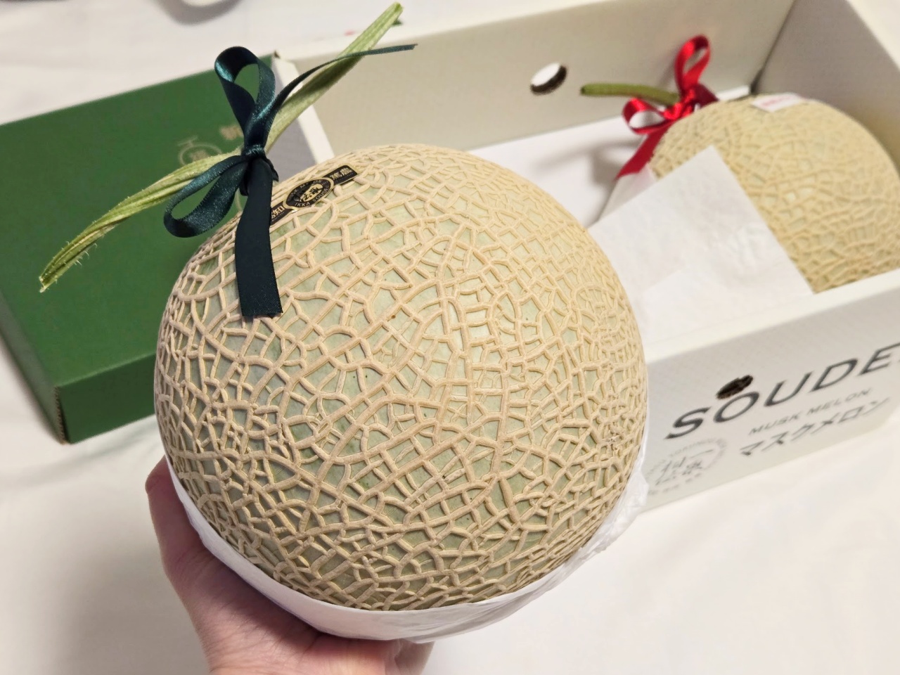 マスクメロンが2玉も!? メロン好きのためのメロンに特化した福箱が最高