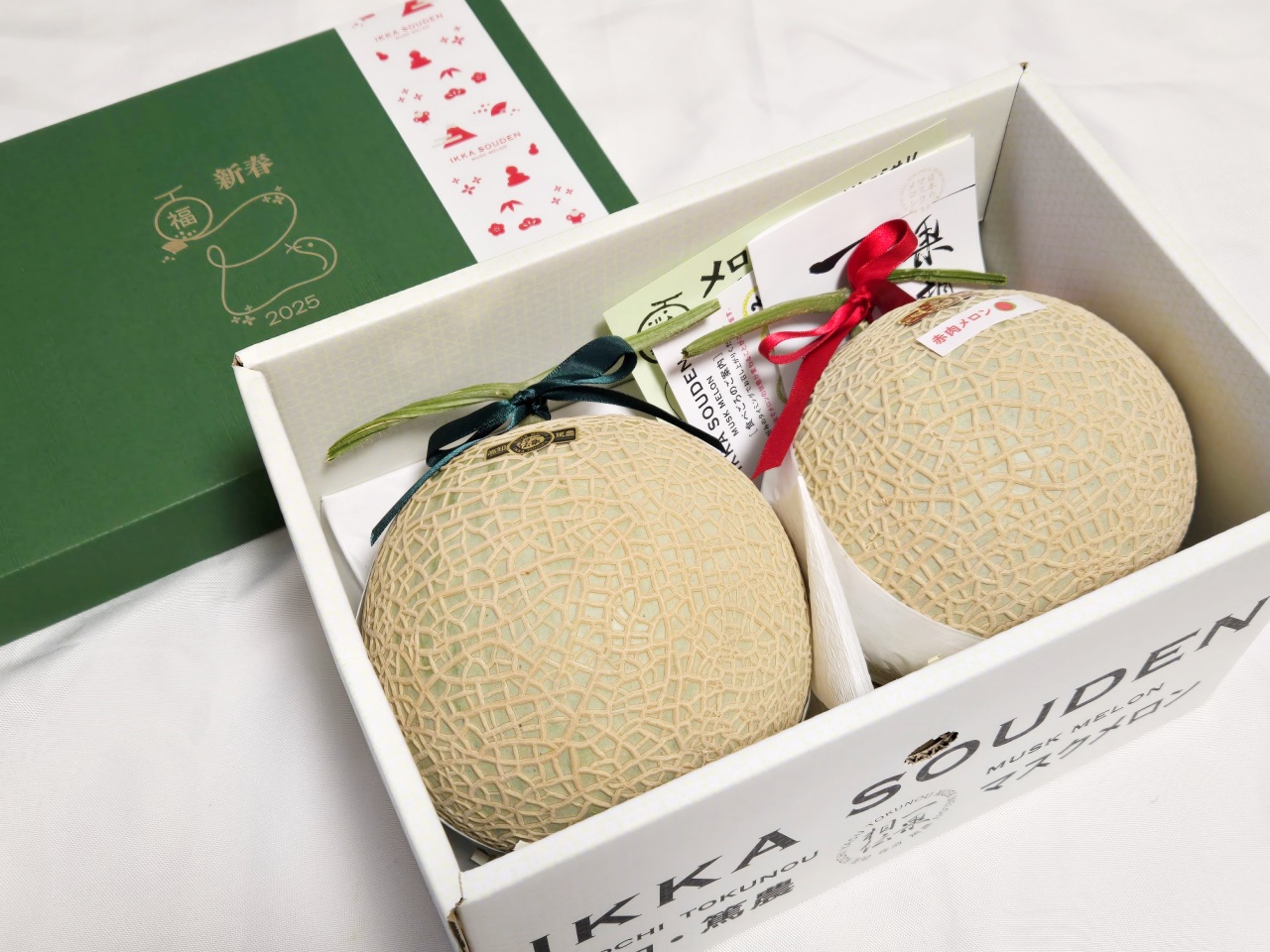 マスクメロンが2玉も!? メロン好きのためのメロンに特化した福箱が最高