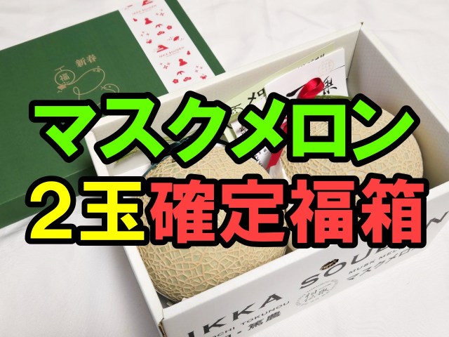 マスクメロンが2玉も!? メロン好きのためのメロンに特化した福箱が最高すぎて優勝した / 一果相伝福箱 2025