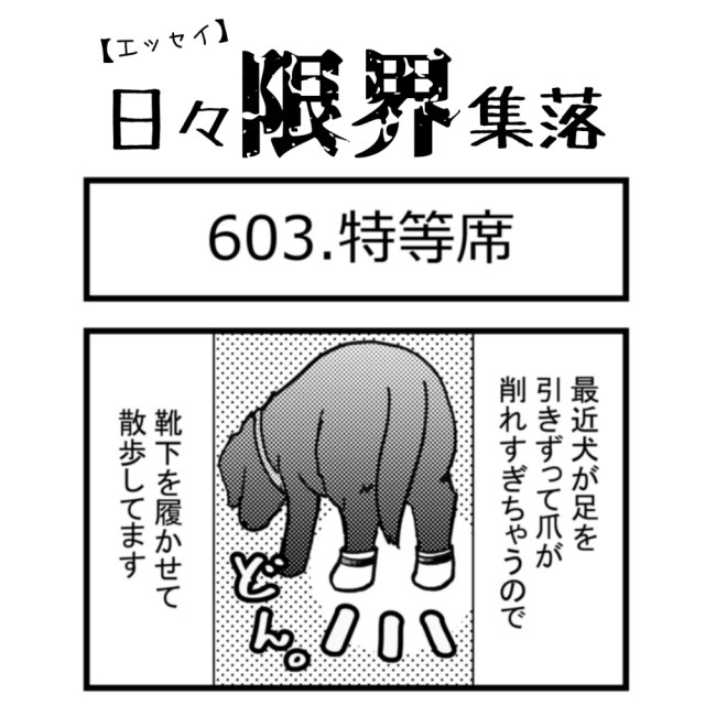 【エッセイ漫画】日々限界集落 603話目「特等席」