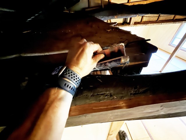 終わりが見えないカメムシ闘争と、前の住人が押し入れのスキマに挟んでいた1996年の記憶【100万円の古民家60】