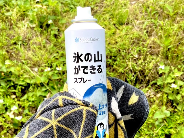 農林水産省のパンフレットで紹介されていた「氷の山ができるスプレー」を使ってみたら…エルサみたいになれた