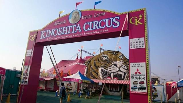 【嘘だろ】普通の大学生がサーカスに入団して2年目 → ヤバ過ぎる男が入団して泣いた / 木下サーカスの思い出：第6回