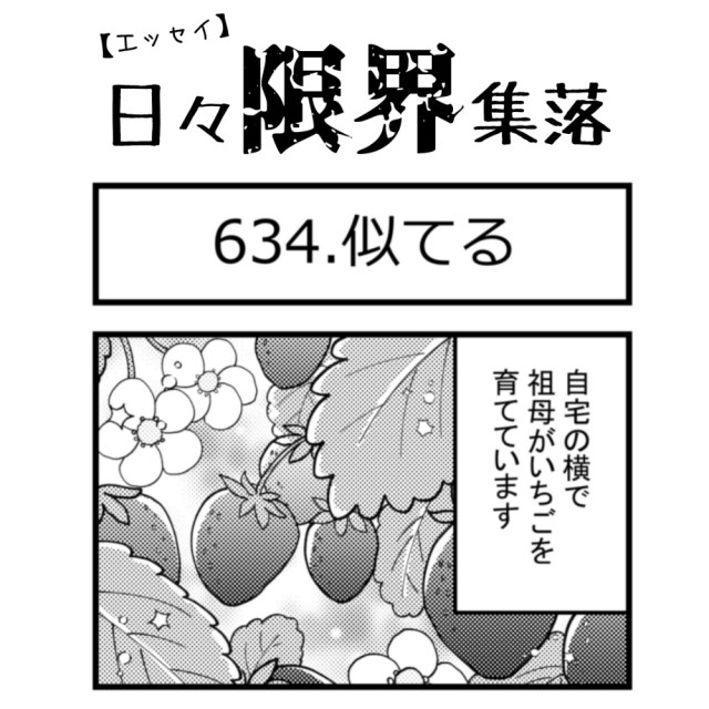 【エッセイ漫画】日々限界集落 634話目「似てる」