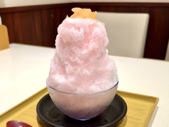 【かき氷食べ比べ2025】イオン「おひつごはん四六時中」が意外な美味しさのダークホースなのでぜひとも食べて欲しい