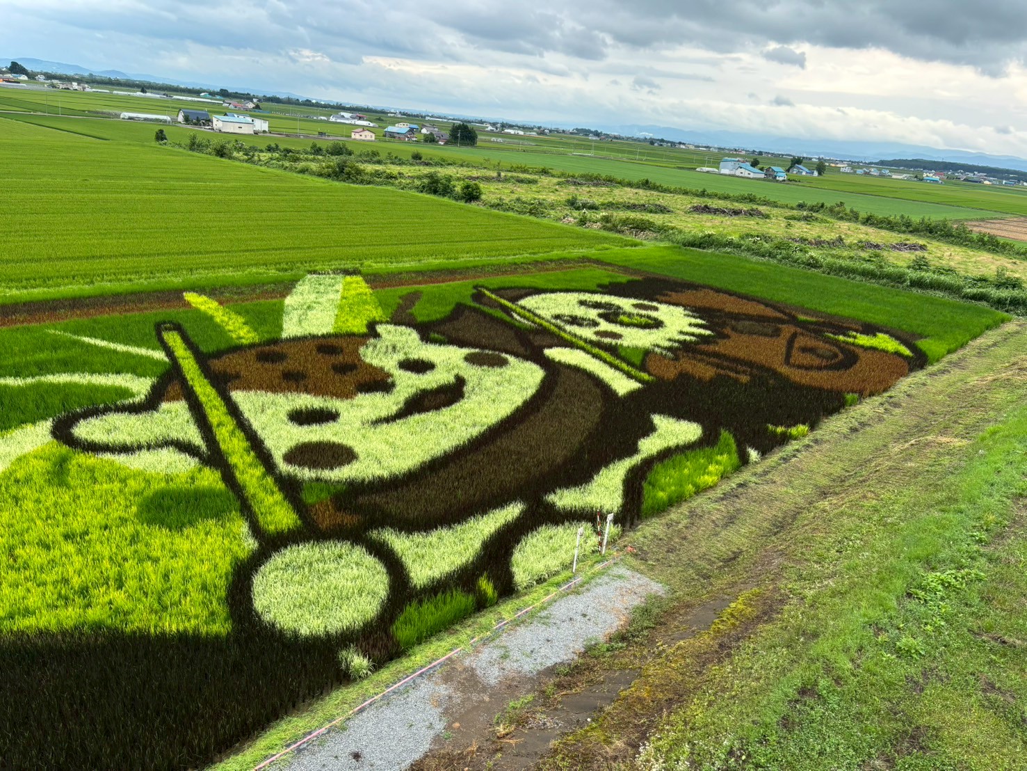 あのマツコさんの次は金メダリスト！ 北海道・田んぼアート2025が今年
