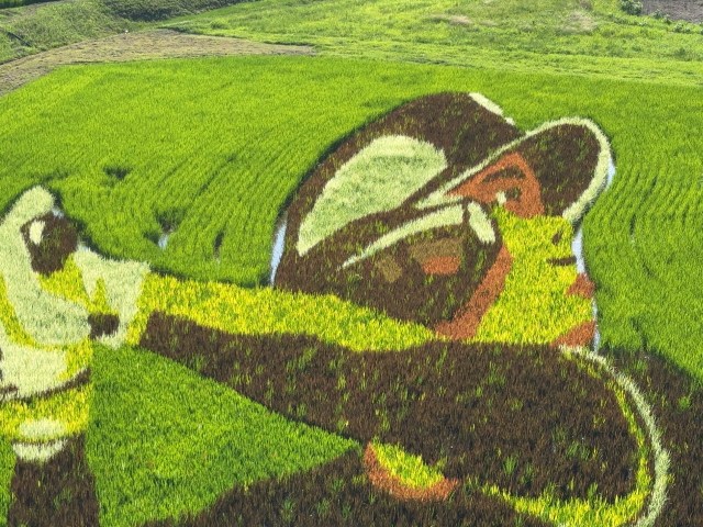 デコピンもいるよ！ 大谷翔平選手の故郷・奥州市で迫力の田んぼアートを見てきた!!