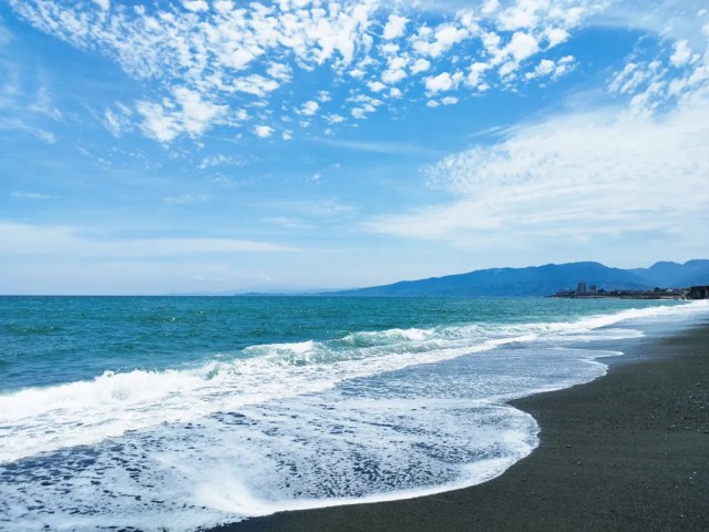 【表現王選手権特別編】「夏休み」をテーマに読者の皆さんから頂いたコピーの優秀3作品をご紹介します 【表現王選手権特別編】「夏休み」をテーマに読者の皆さんから頂いたコピーの優秀3作品をご紹介します