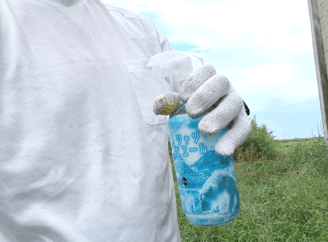 本日限定価格‼️シャツヒエール10個 ドンキの限定商品「シャツヒエール ストロングミント」が