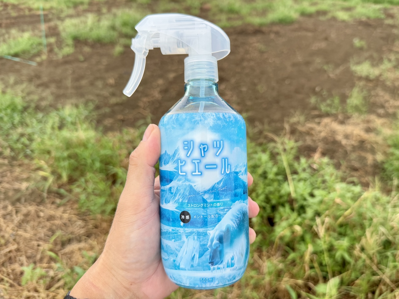 ドンキの限定商品「シャツヒエール ストロングミント」がヒンヤリ