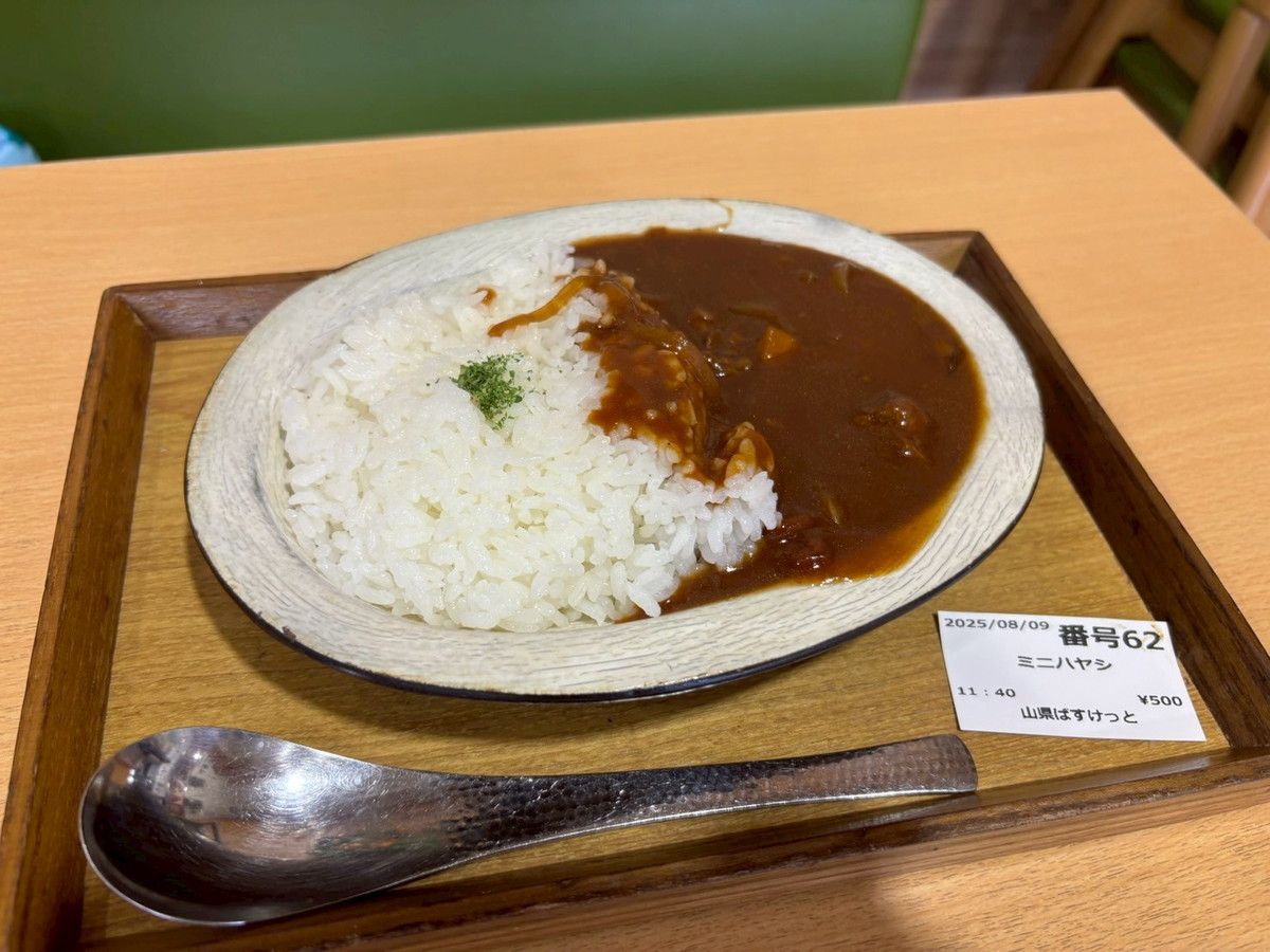 岐阜】9月8日はハヤシライスの日!発祥の地で食べるも心奪われたのは