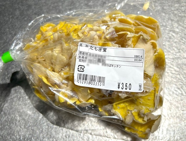 幻だったかもしれないキノコ「タモギタケ」にもう一度会いたい