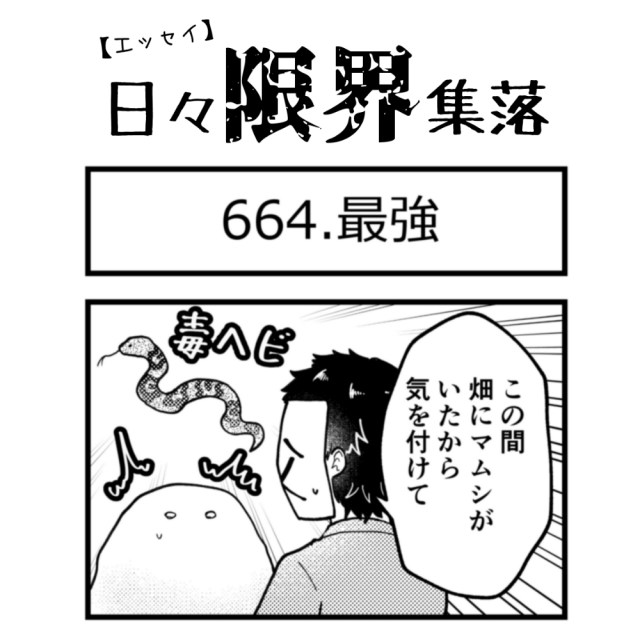 【エッセイ漫画】日々限界集落 664話目「最強」