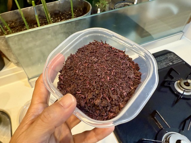 梅干し作りの時にできた乾燥した紫蘇で『自家製ゆかり』を作ったら超うま！ これだから梅仕事はやめられない