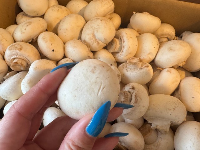 【異論は認めない】秋だ! マッシュルームの季節だ!! スーパーで死ぬほど安く売ってたので「マッシュルームの一番ウマい食べ方」を教えよう!!! 【異論は認めない】秋だ! マッシュルームの季節だ!! スーパーで死ぬほど安く売ってたので「マッシュルームの一番ウマい食べ方」を教えよう!!!