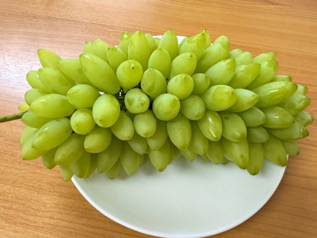 【ちょっと怖い】シャインマスカットの変異体みたいな謎のトゲトゲ『ピッテロビアンコ』が “マスカット界のシャウエッセン” だった!!! 【ちょっと怖い】シャインマスカットの変異体みたいな謎のトゲトゲ『ピッテロビアンコ』が “マスカット界のシャウエッセン” だった!!!