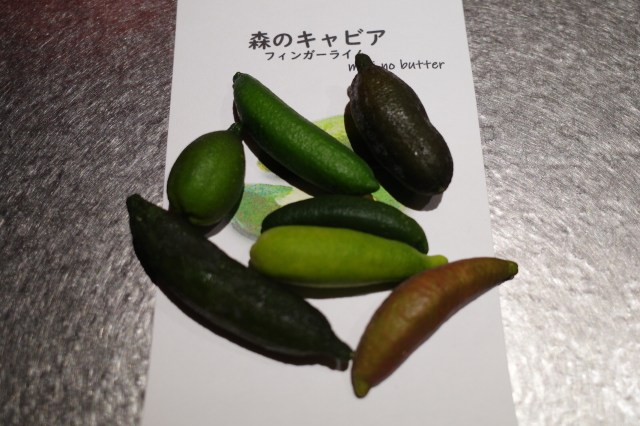 森のキャビアの異名を持つ『フィンガーライム』を買ってみた！ なんだこの不思議植物は…