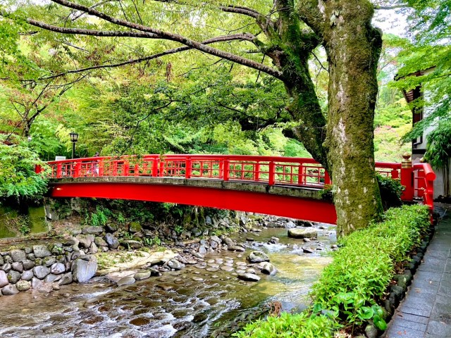 静岡県民におすすめされたスポット「修善寺」に行ってみたら、実質京都の嵐山だった