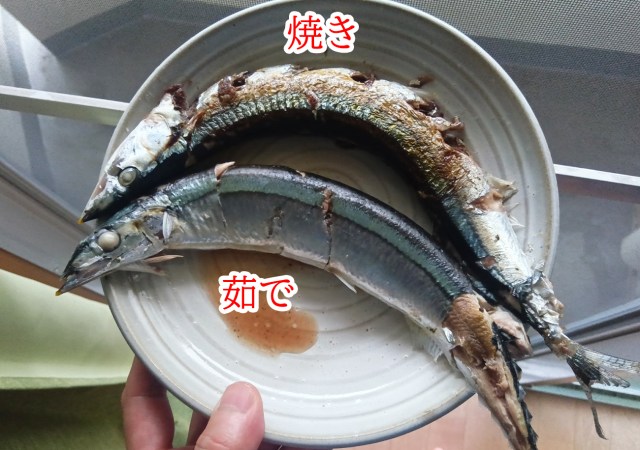 「秋刀魚は焼くんじゃなく茹でろ」ってSNSでバズってたから “焼き” と “茹で” を食べ比べてみた結果 → ある部位の味が変わってる