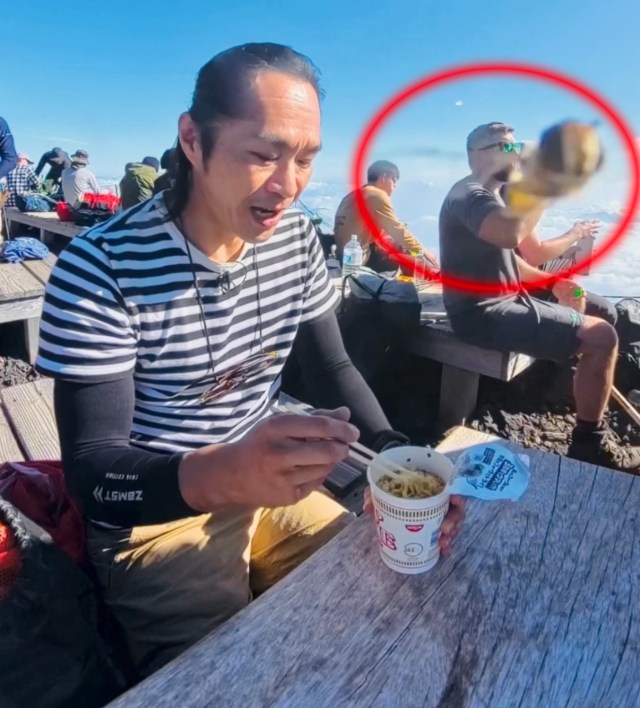 富士山の頂上付近にいるハチみたいなウザい飛び虫は何者? 調べてみたら… 富士山の頂上付近にいるハチみたいなウザい飛び虫は何者? 調べてみたら…