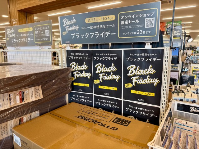 カインズのブラックフライデーで「1家族1点限り」の人気商品を買ってきた / まさかコレを買うことになるとは…