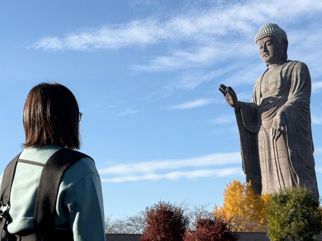 【魅力度45位?】北関東をナメている東京都民を茨城最強ショッピングモール「亀仙人街」に連れて行った結果 → 「また来たいかも…」 【魅力度45位?】北関東をナメている東京都民を茨城最強ショッピングモール「亀仙人街」に連れて行った結果 → 「また来たいかも…」