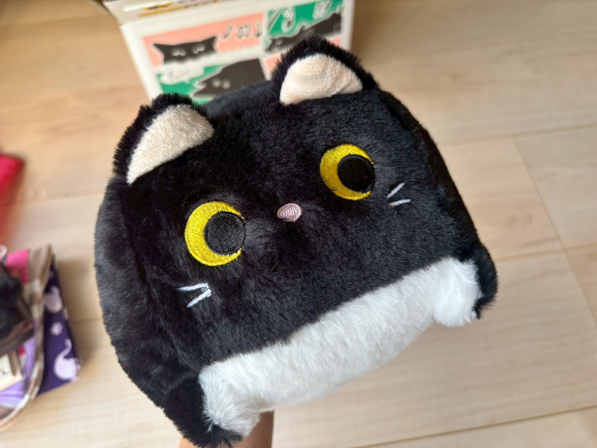 福袋2026】楽天で3380円の「ねこ福袋」を開けたら…センスよき実用的な