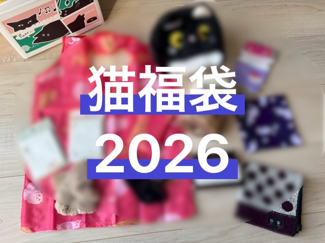 【福袋2026】楽天で3380円の「ねこ福袋」を開けたら…センスよき実用的な“にゃんこ成分”がたっぷり詰まっていた！