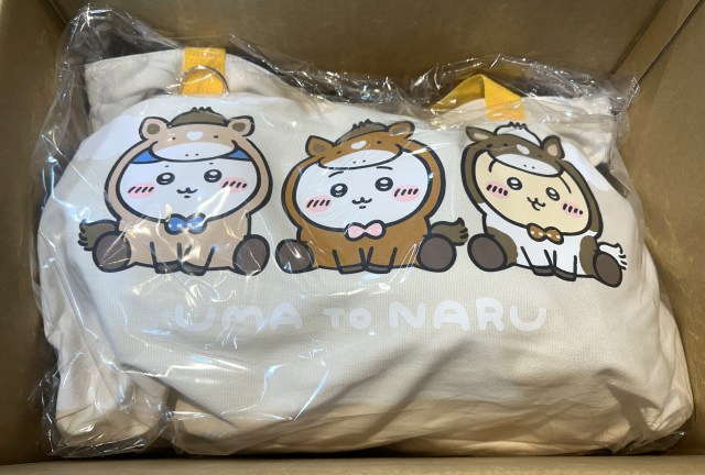 【店頭販売の可能性あり】真夏に注文した『ちいかわ』福袋がようやく届いたっ…!! 気持ちが高ぶり「イイイイヤァーハァーーーー!!!!」と叫び出したくなる内容でした