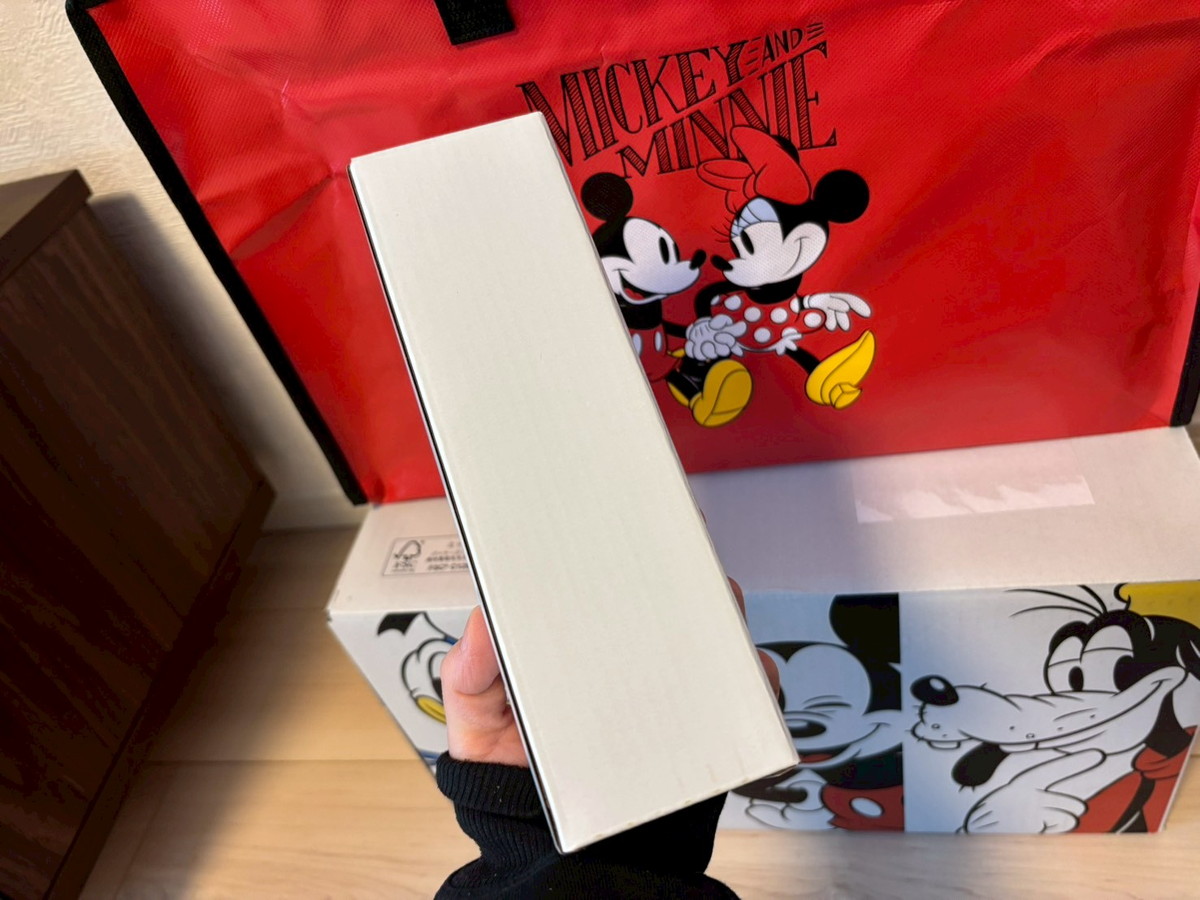 福袋2026】これはかなりお得なのでは？ ディズニーストアの3500円