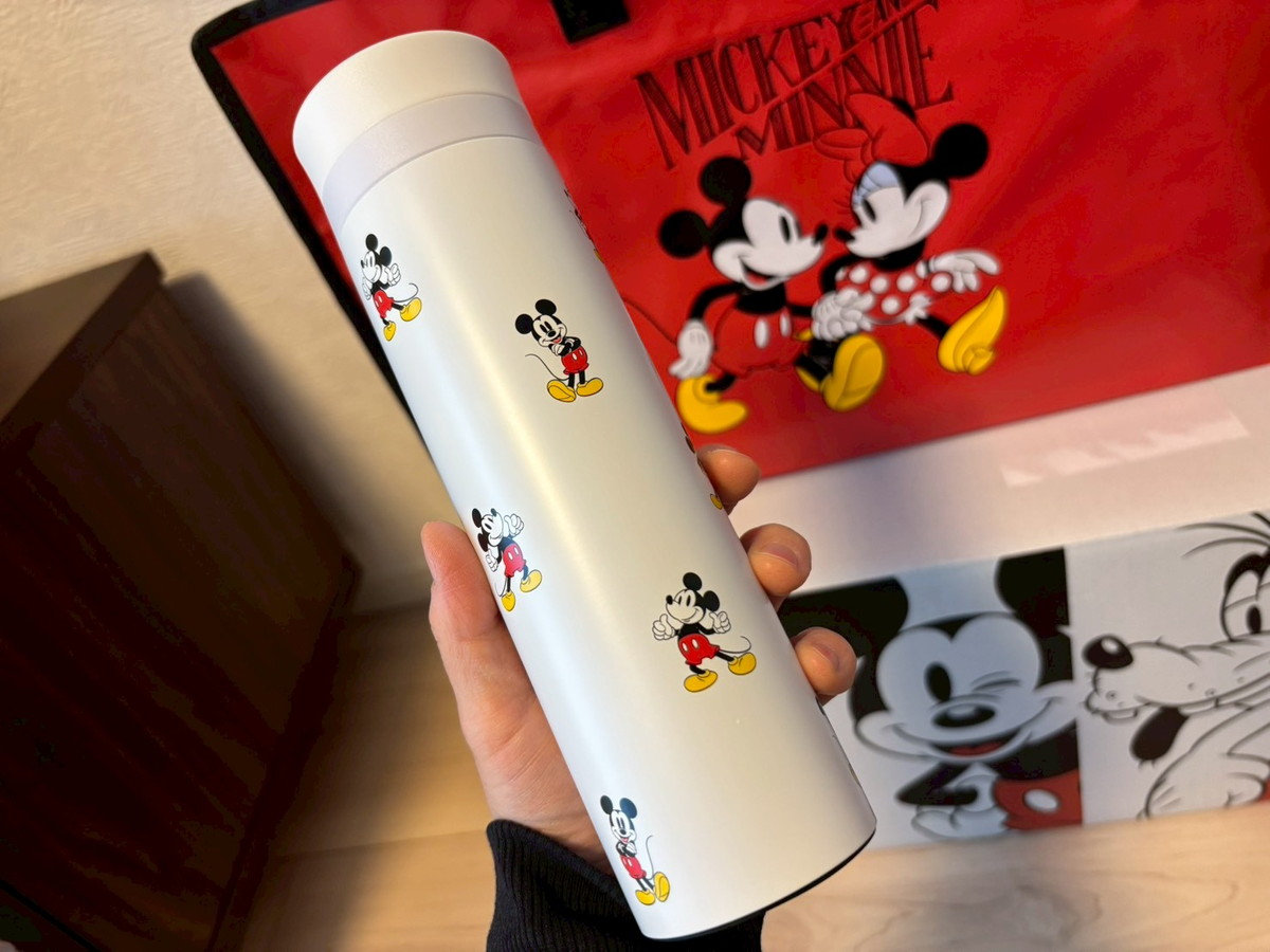 福袋2026】これはかなりお得なのでは？ ディズニーストアの3500円