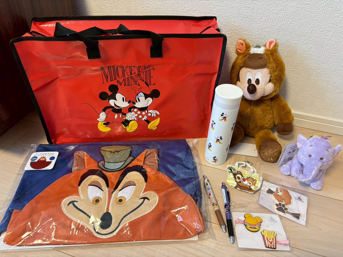 福袋2026】これはかなりお得なのでは？ ディズニーストアの3500円