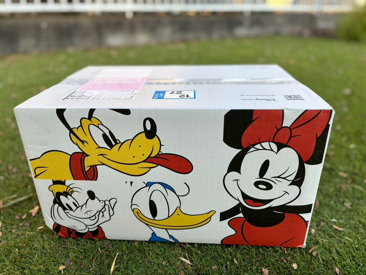 福袋2026】これはかなりお得なのでは？ ディズニーストアの3500円