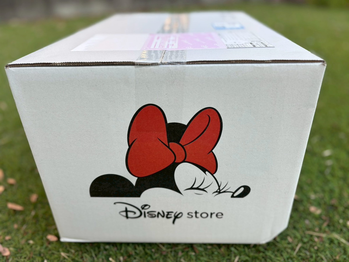 福袋2026】これはかなりお得なのでは？ ディズニーストアの3500円